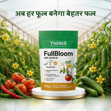 FullBloom | NPK 00:50:10 | Fertilizer | Improved Fruit Set & Higher Yield | Suitable for All Crops