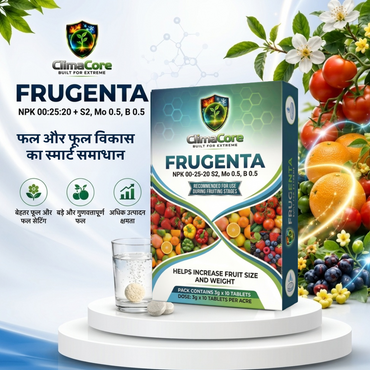 FRUGENTA