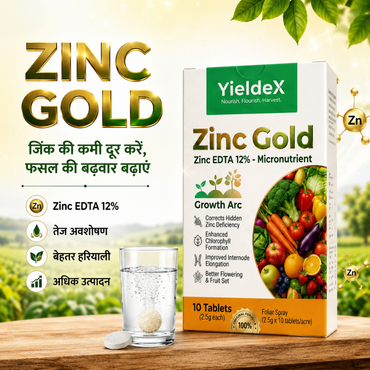 ZINC GOLD Patented Zinc EDTA 12% Effervescent Tablet