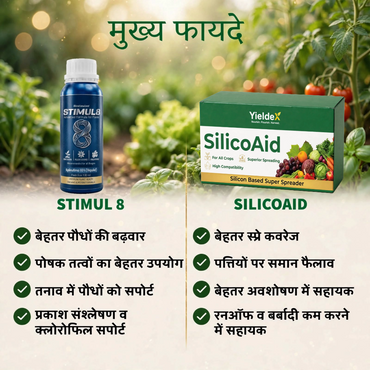 STIMUL 8 + SILICOAID Combo | 10% Spirulina Bio-Stimulant & Silicon-Based Super Spreader | Better Growth, Photosynthesis, Stress Tolerance & Spray Efficiency | All Crops