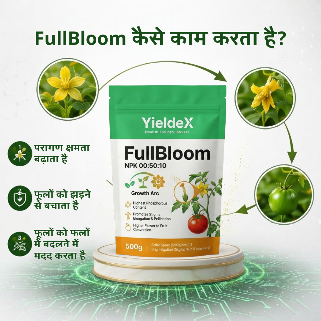 FullBloom | NPK 00:50:10 | Fertilizer | Improved Fruit Set & Higher Yield | Suitable for All Crops