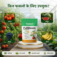 FullBloom | NPK 00:50:10 | Fertilizer | Improved Fruit Set & Higher Yield | Suitable for All Crops