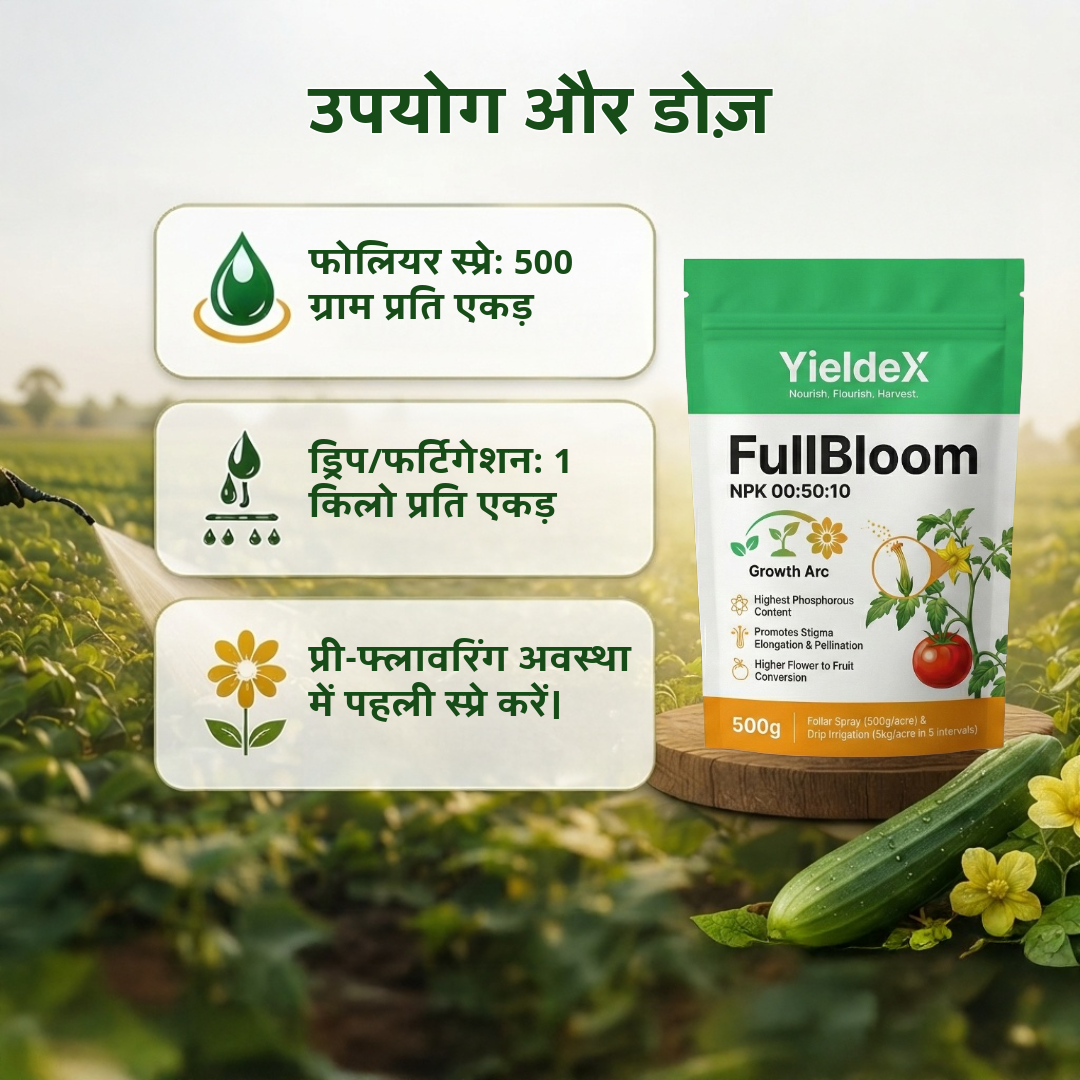 FullBloom | NPK 00:50:10 | Fertilizer | Improved Fruit Set & Higher Yield | Suitable for All Crops