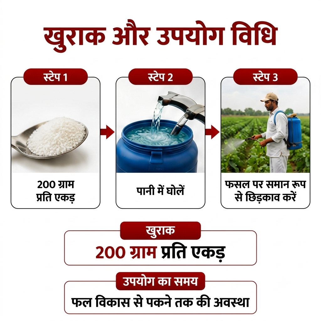 FRUIT MAX QD 13-00-45 | High Potassium Water-Soluble NPK Fertilizer | Fruit Development & Ripening