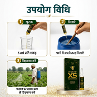 X5 Advance | Vitamin B3 (Nicotinamide) 3.25% | Biostimulant | Suitable for All Vegetables