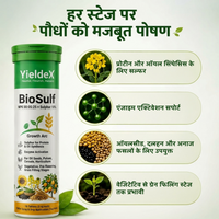 BioSulf Patented Sulphur & Potassium Effervescent Tablets