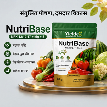 Nutribase | NPK 12:12:17 + Mg + S + TE | Fertilizer | Suitable for All Vegetables