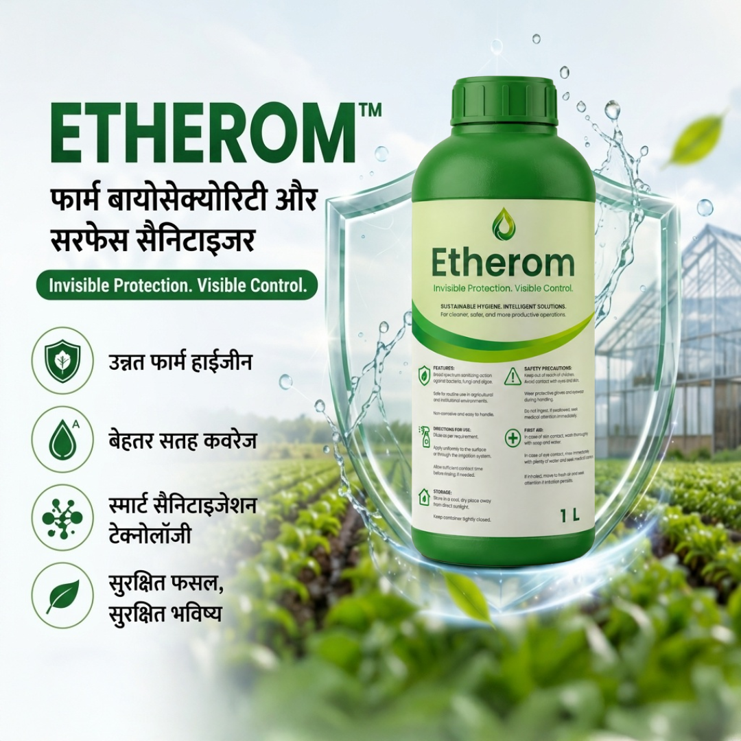 ETHEROM