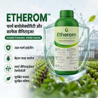 ETHEROM