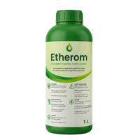 ETHEROM