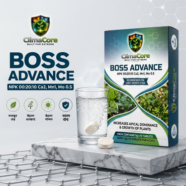 BOSS Nutrient Tablets for Plants