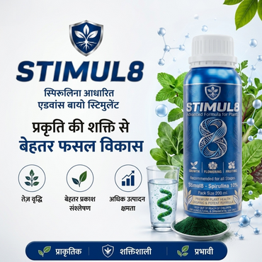 STIMUL 8