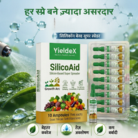 SilicOaid | Nano Silicon | Adjuvant | All crops