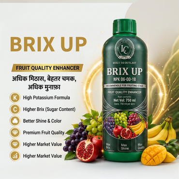 Brix Up Patented NPK 06:00:18