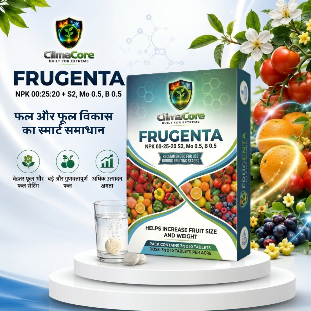 FRUGENTA
