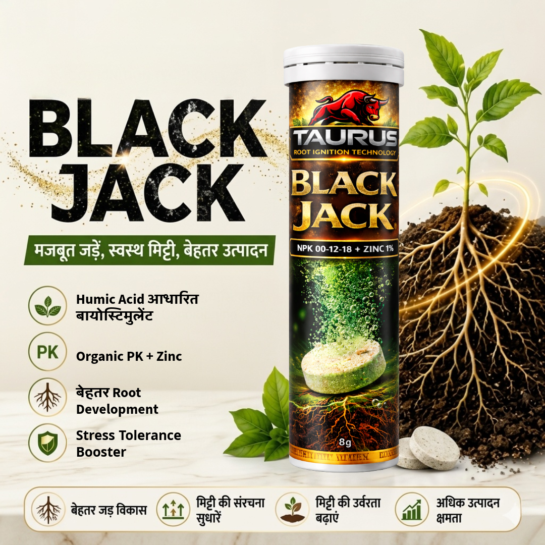 Black Jack Patented Humic Acid Effervescent Biostimulant