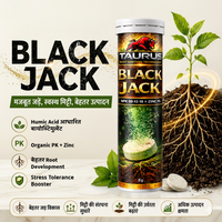 Black Jack Patented Humic Acid Effervescent Biostimulant