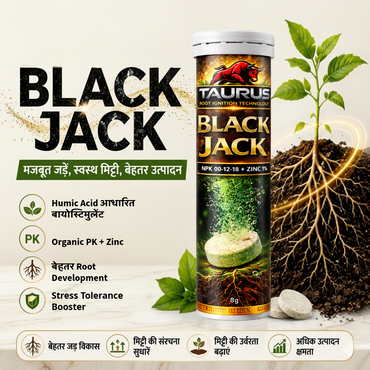 Black Jack Patented Humic Acid Effervescent Biostimulant