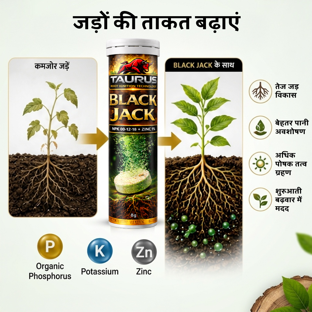 Black Jack Patented Humic Acid Effervescent Biostimulant