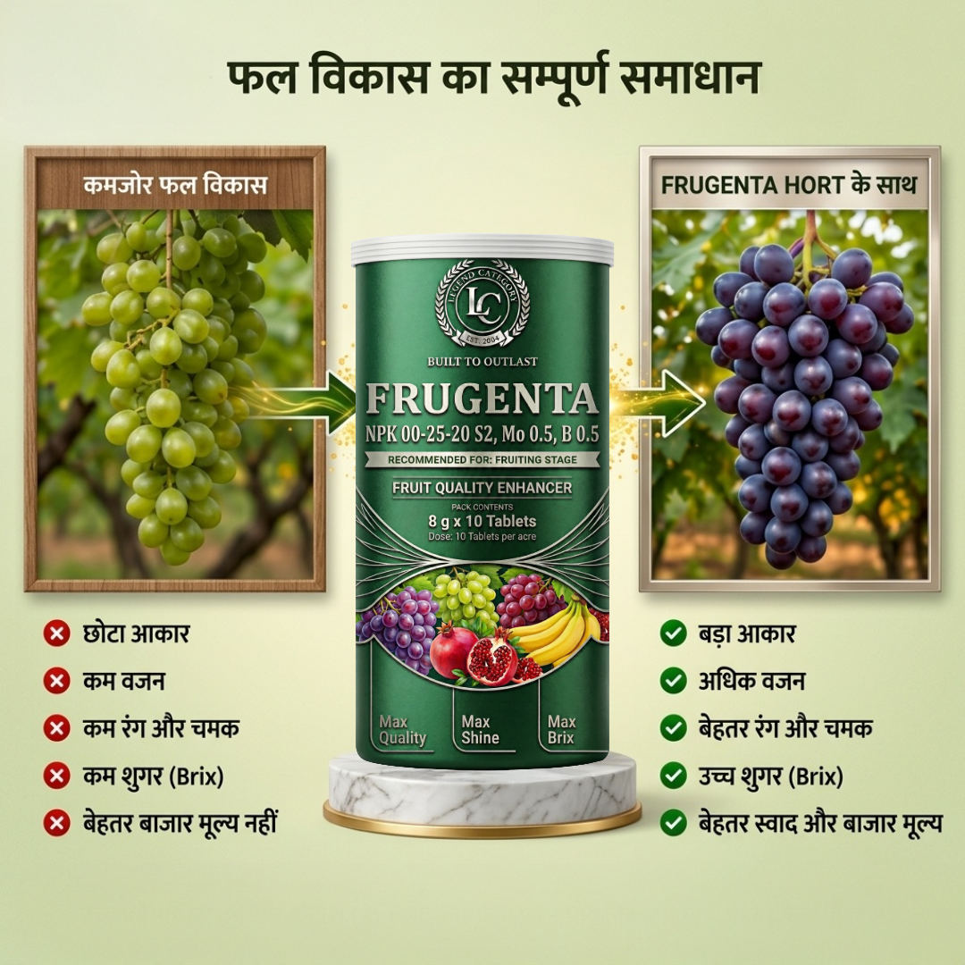 Frugenta – HORT Patented Fruit Development Booster