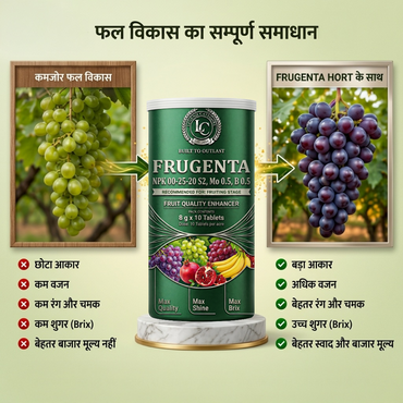 Frugenta Hort | NPK 00-25-20, S 2%, Mo 0.5%, B 0.5% | Biostimulant | Grapes. Pomegranate, Chilly Tomato, Watermelon, Muskmelon