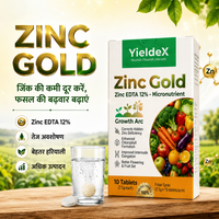 ZINC GOLD Patented Zinc EDTA 12% Effervescent Tablet