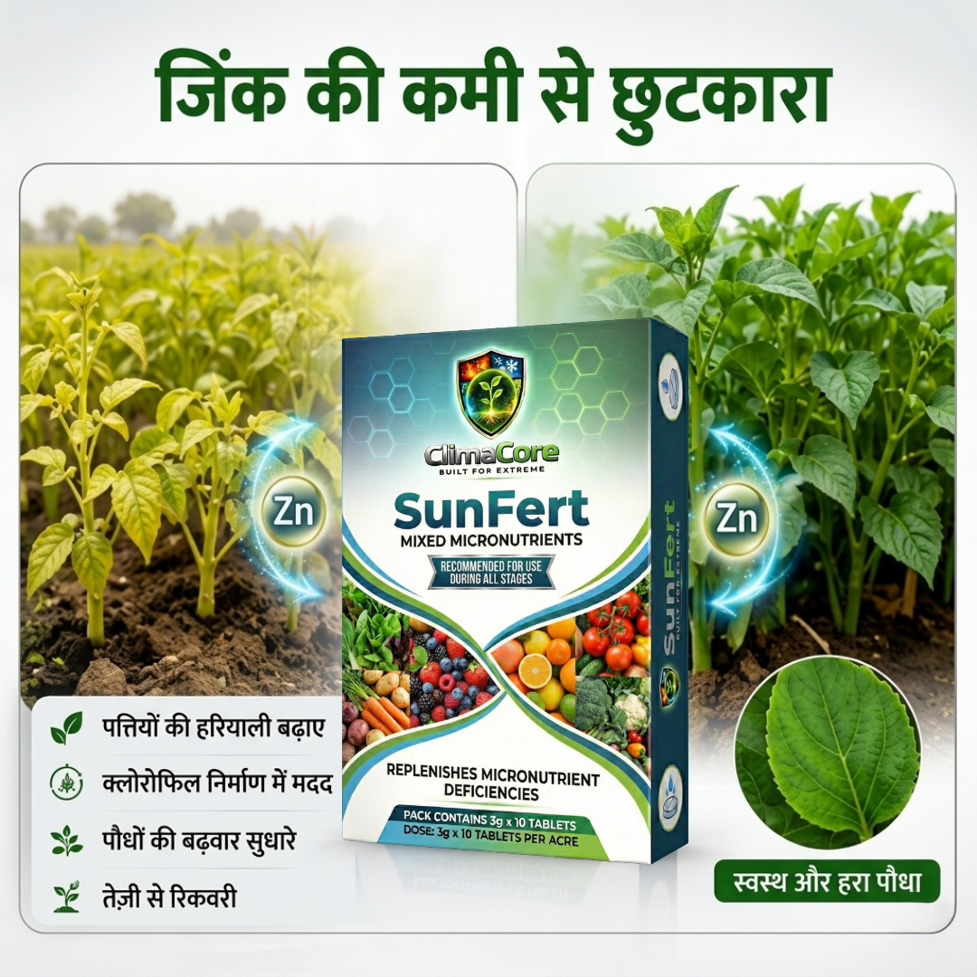 SUNFERT Tablets Patented