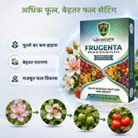 FRUGENTA