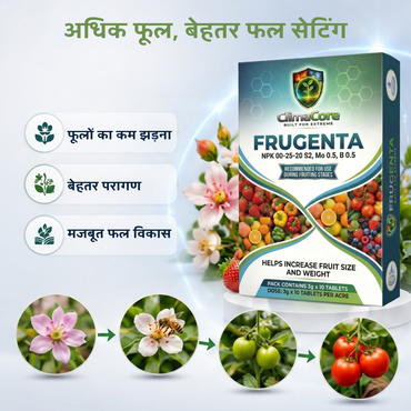 Frugenta | NPK 00-25-20, S 2%, Mo 0.5%, B 0.5% | Biostimulant | Grapes. Pomegranate, Chilly Tomato, Watermelon, Muskmelon