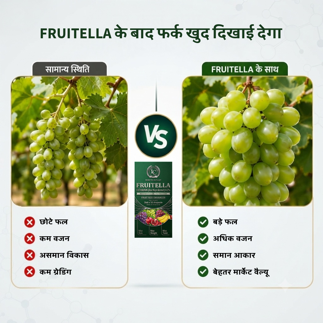 Fruitella | Cytokinin (Zea mays kernel) 0.2% | Biostimulant | Grapes, Watermelon, Pomegranate