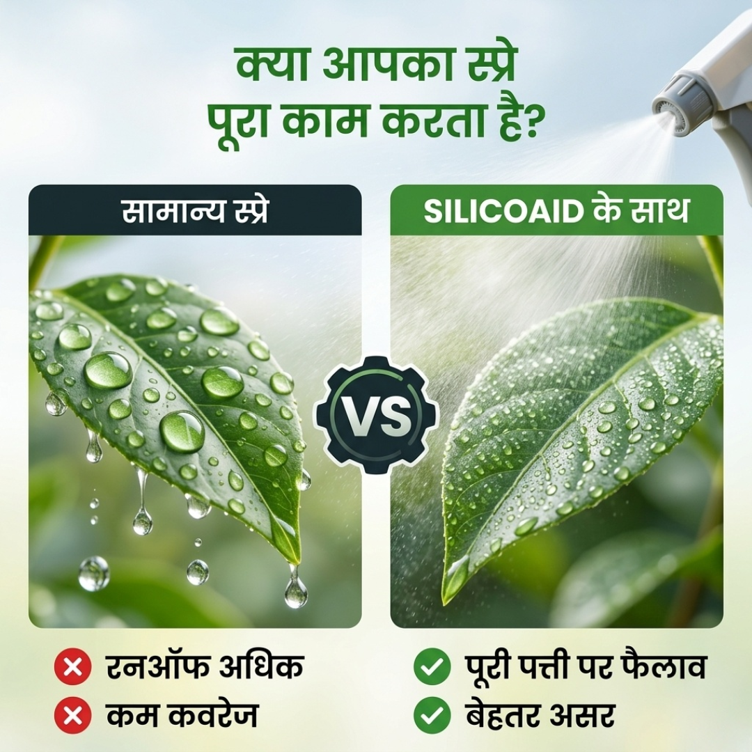 SilicOaid | Nano Silicon | Adjuvant | All crops