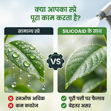 SilicOaid | Nano Silicon | Adjuvant | All crops
