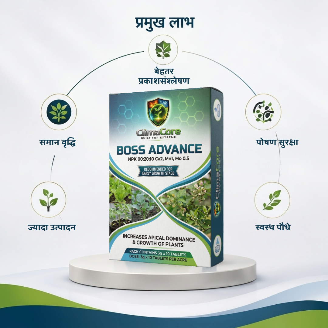 BOSS Nutrient Tablets for Plants