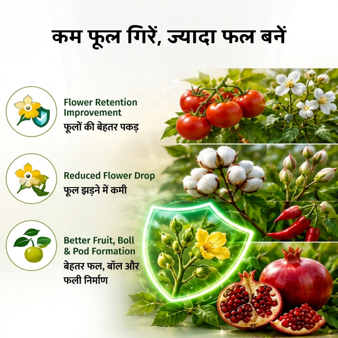 Formula 1 Patented Flowering Stimulant Tablets