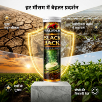 Black Jack Patented Humic Acid Effervescent Biostimulant