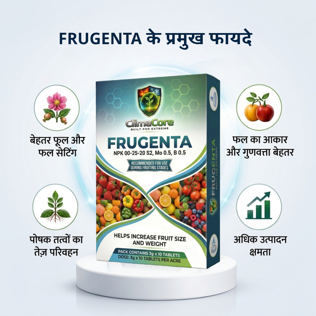 FRUGENTA