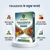 FRUGENTA