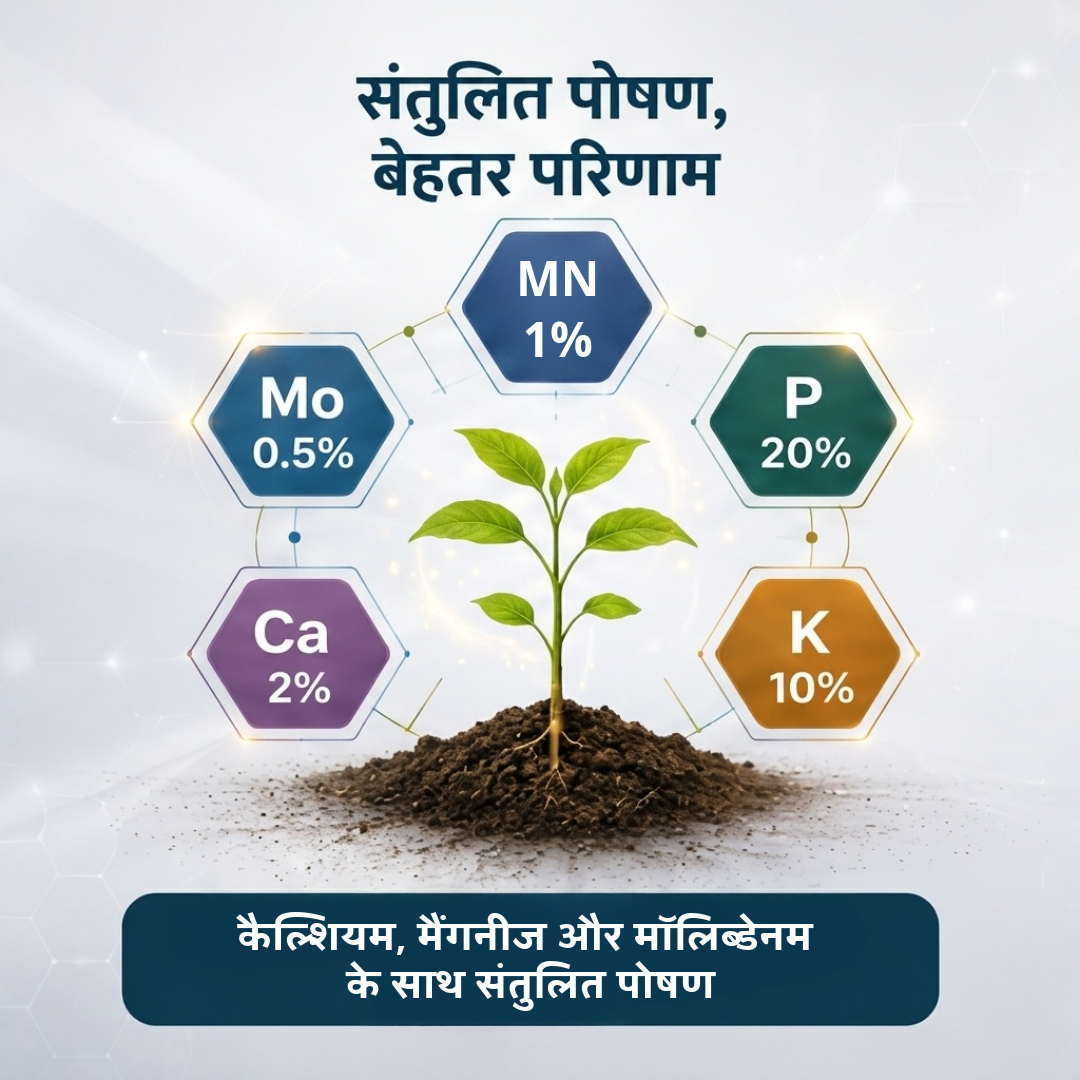 BOSS Nutrient Tablets for Plants