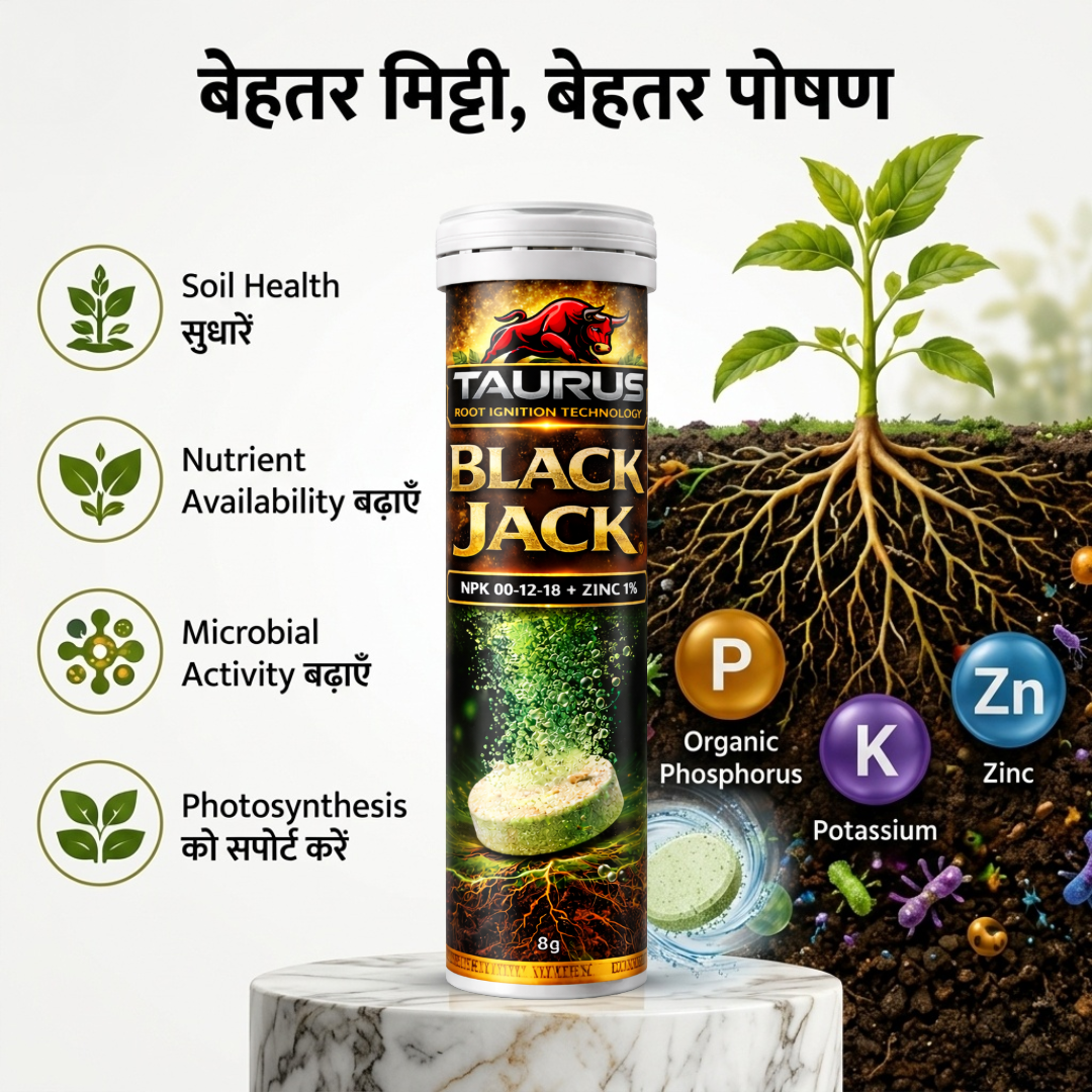 Black Jack Patented Humic Acid Effervescent Biostimulant