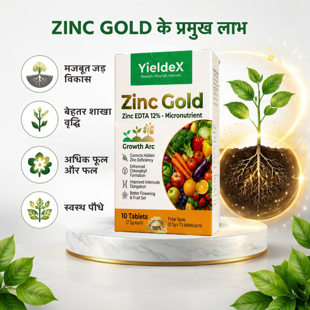 ZINC GOLD Patented Zinc EDTA 12% Effervescent Tablet
