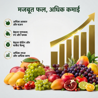 Fruitella | Cytokinin (Zea mays kernel) 0.2% | Biostimulant | Grapes, Watermelon, Pomegranate