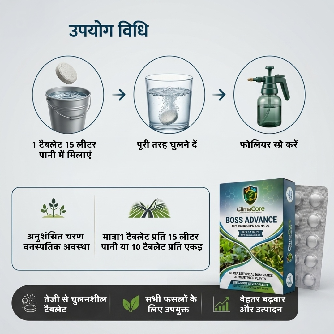 BOSS Nutrient Tablets for Plants