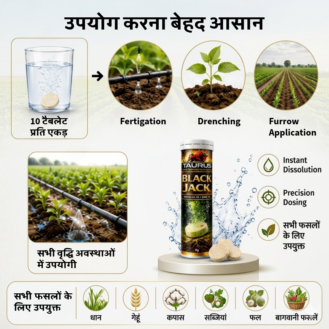 Black Jack Patented Humic Acid Effervescent Biostimulant