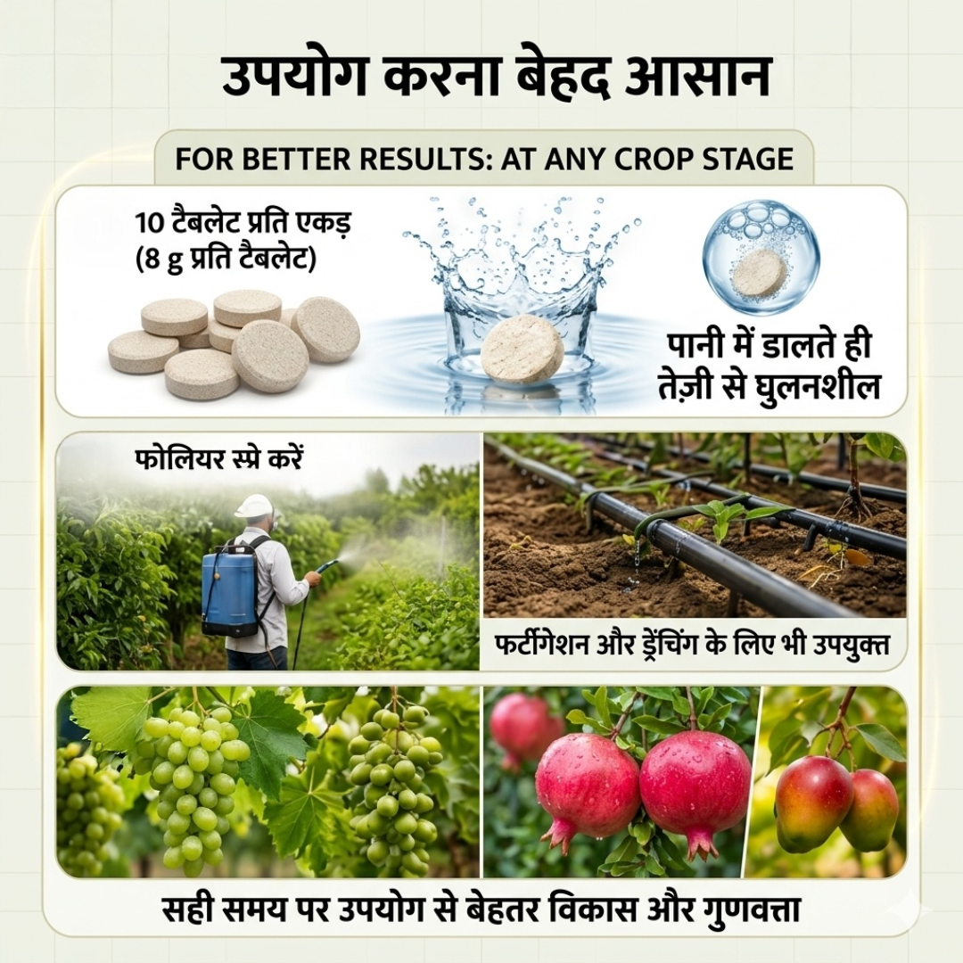 Frugenta – HORT Patented Fruit Development Booster