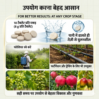 Frugenta – HORT Patented Fruit Development Booster