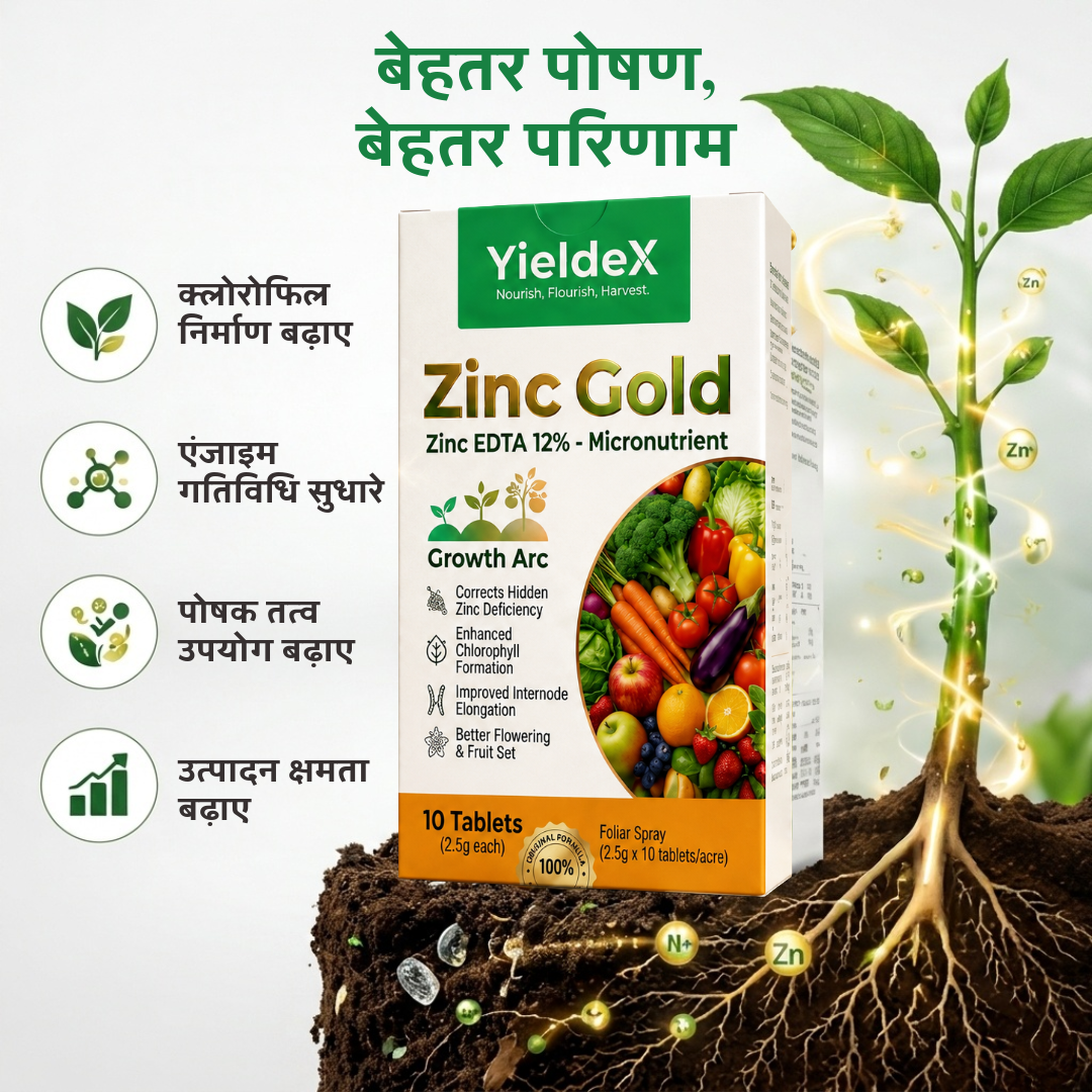 ZINC GOLD Patented Zinc EDTA 12% Effervescent Tablet
