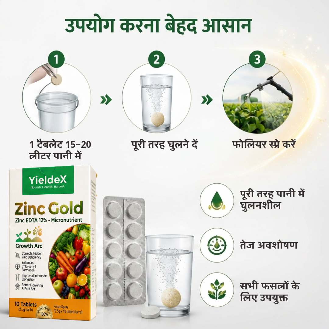 ZINC GOLD Patented Zinc EDTA 12% Effervescent Tablet