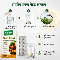 ZINC GOLD Patented Zinc EDTA 12% Effervescent Tablet