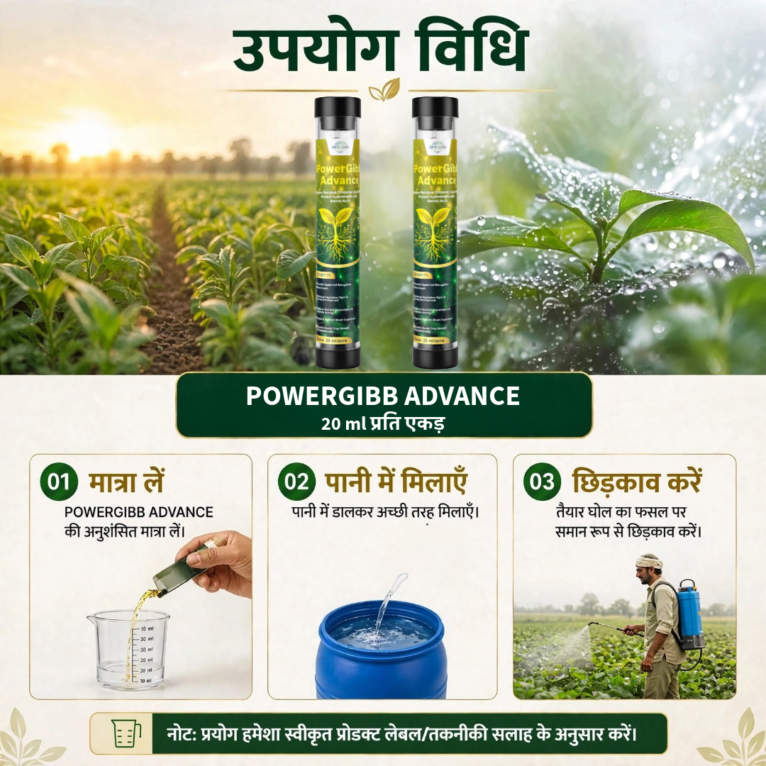 POWERGIBB ADVANCE Combo Pack of 2 | Glutamic Acid 16% Plant Growth Activator | Vegetative Growth, Plant Vigor & Nutrient Uptake | All Crops