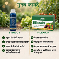 STIMUL 8 + SILICOAID Combo | 10% Spirulina Bio-Stimulant & Silicon-Based Super Spreader | Better Growth, Photosynthesis, Stress Tolerance & Spray Efficiency | All Crops